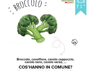 Orto-Scuola: il Broccolo