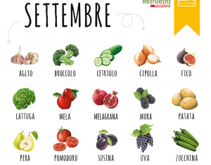 Il carrello di stagione: verdura e frutta del mese di settembre